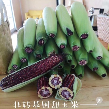 水果玉米红色甜玉米