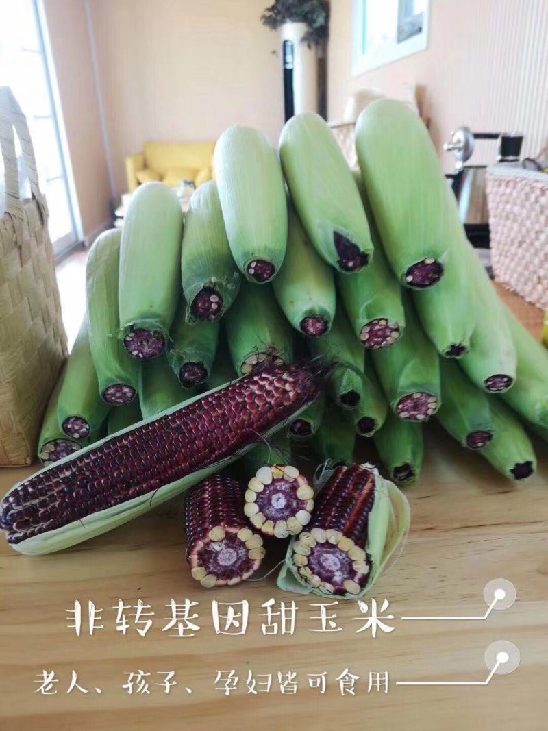 水果玉米红色甜玉米