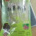 红薯粉条细粉，厂家直销，对接电商微商