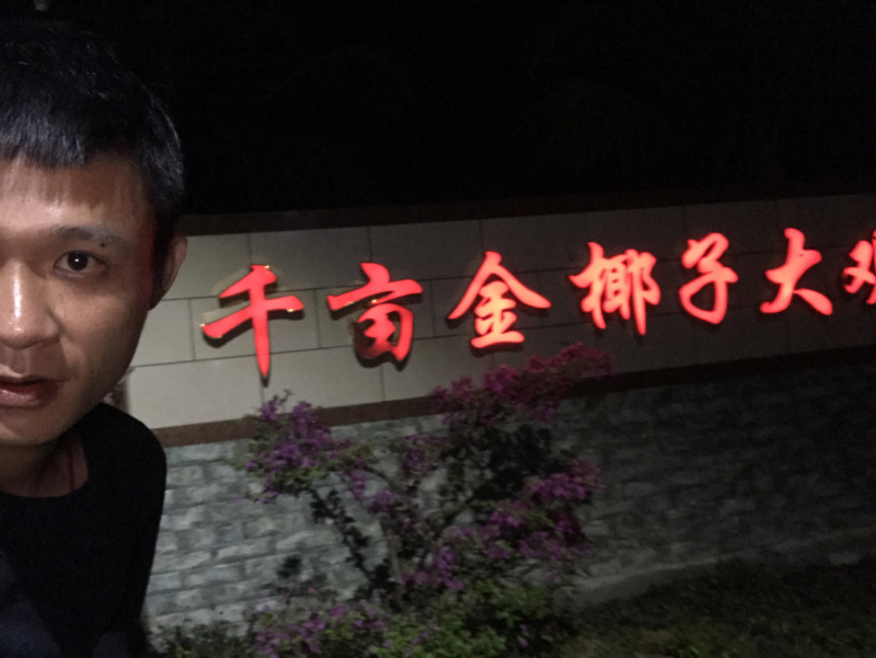 正宗海南椰子金椰孕妇水果欢迎老板合作可大量现货供应