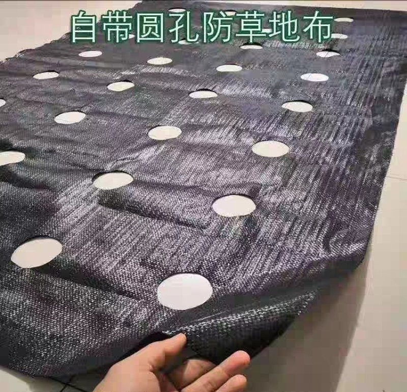 厂家直销打孔切片防草地布果园防草布园艺布除草保湿透气
