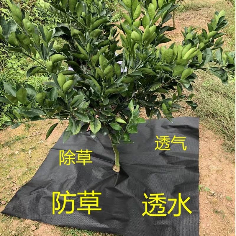 厂家直销打孔切片防草地布果园防草布园艺布除草保湿透气