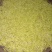 洪雅月儿山金银花