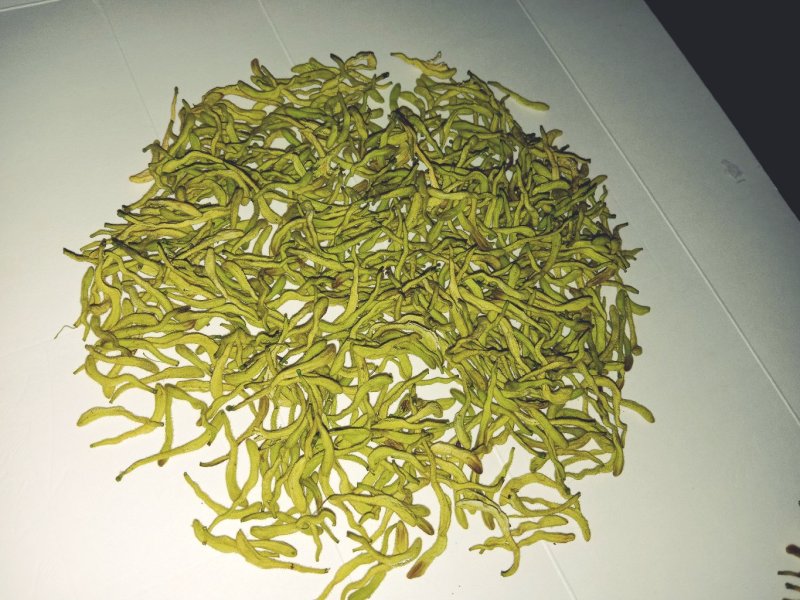 洪雅月儿山金银花