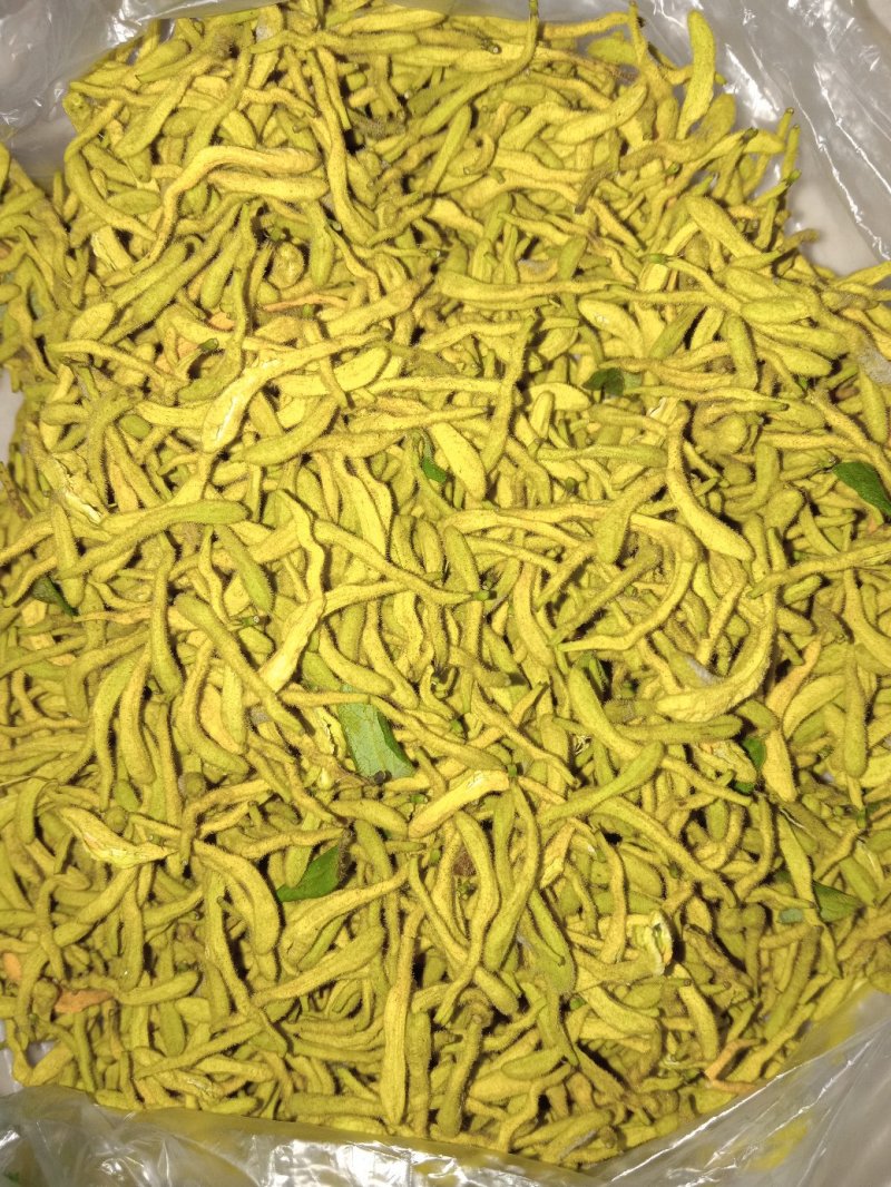 洪雅月儿山金银花