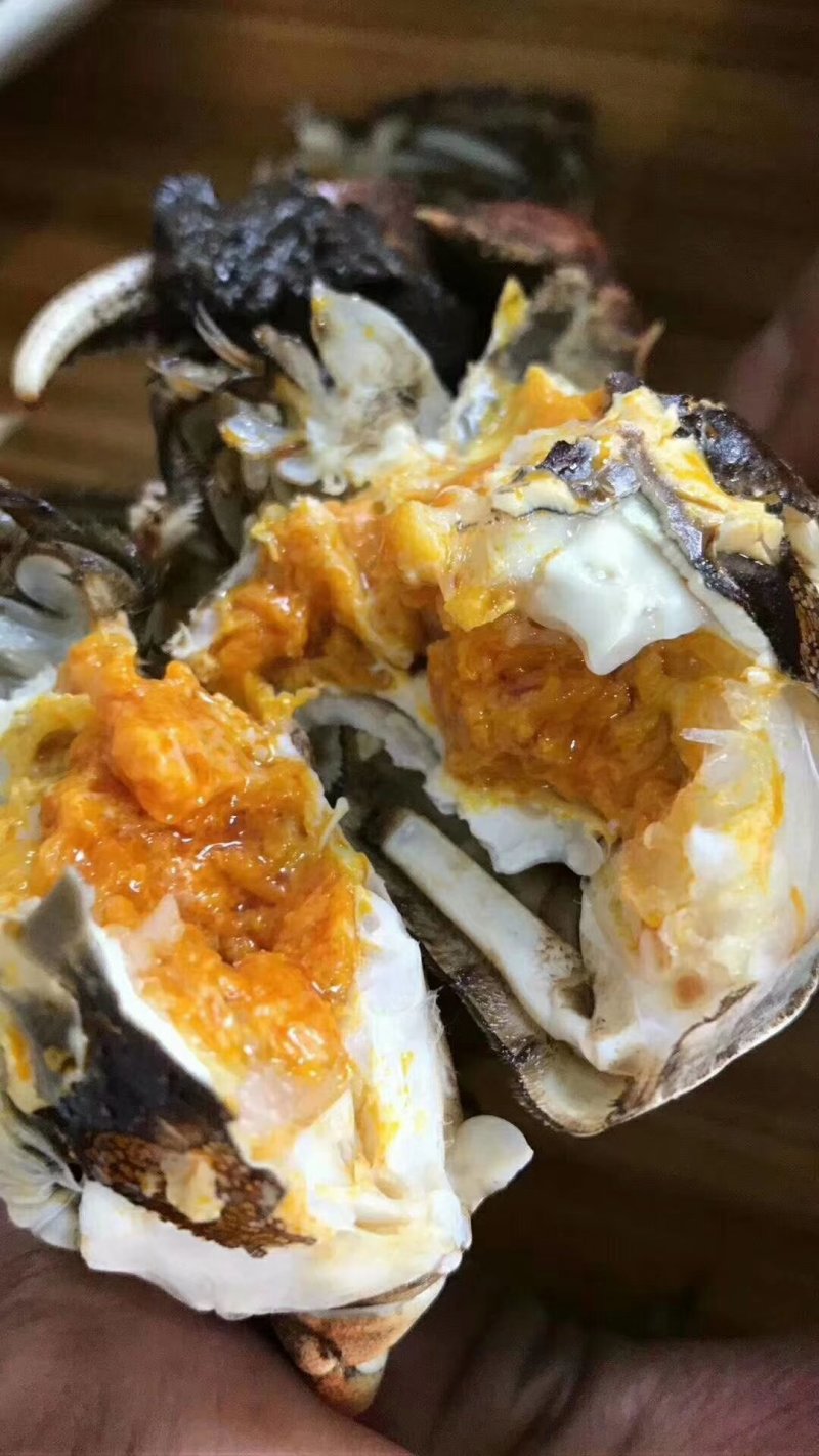 河蟹，自己家养的，保质保量