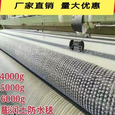 纳基膨润土防水毯景观湖垃圾填埋场环保防渗覆膜膨润土防水垫