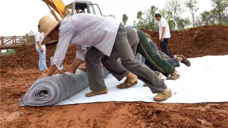 纳基膨润土防水毯景观湖垃圾填埋场环保防渗覆膜膨润土防水垫