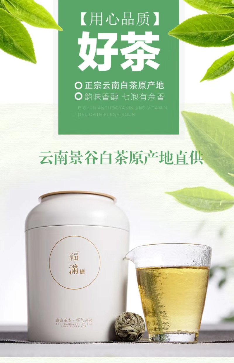 云南大叶种白牡丹（500克两盒），纯正的一芽一叶