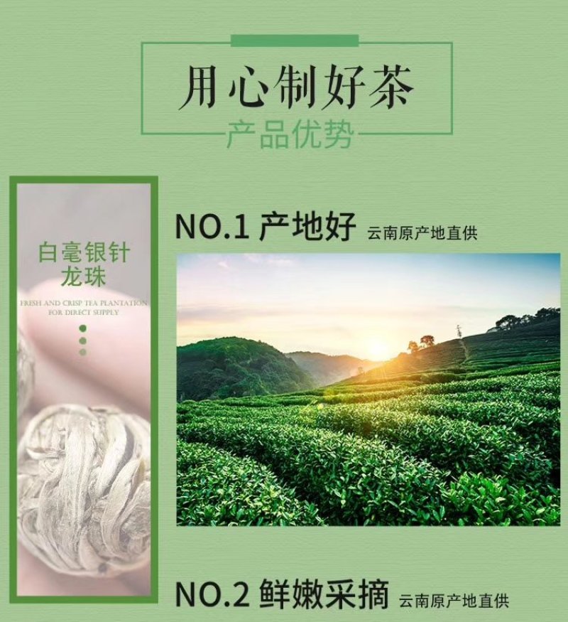 云南大叶种白牡丹（500克两盒），纯正的一芽一叶