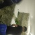精品毛芹