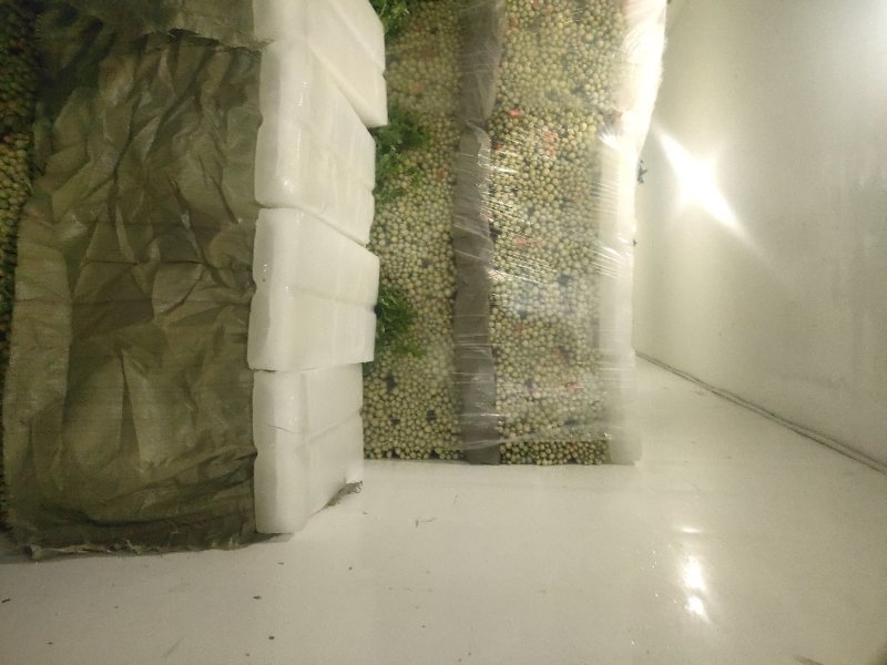 精品毛芹
