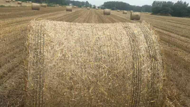 草场直销牛草、羊草、马草、兔料等秸秆类草料