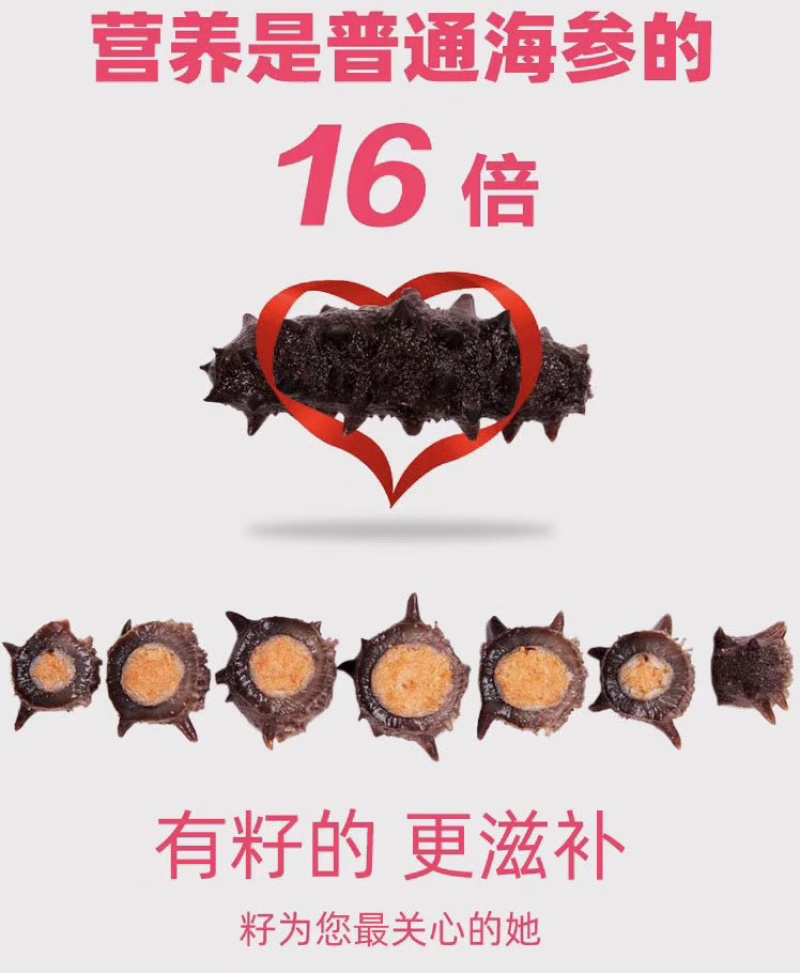 一级海参干，带母仔海参，批发中药材，亳州药材