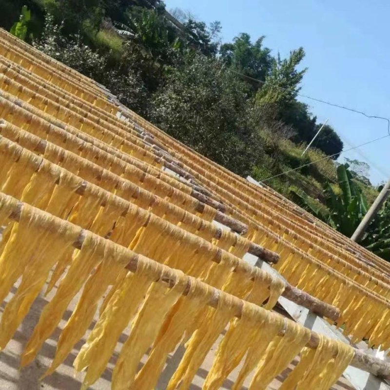 黑腐竹