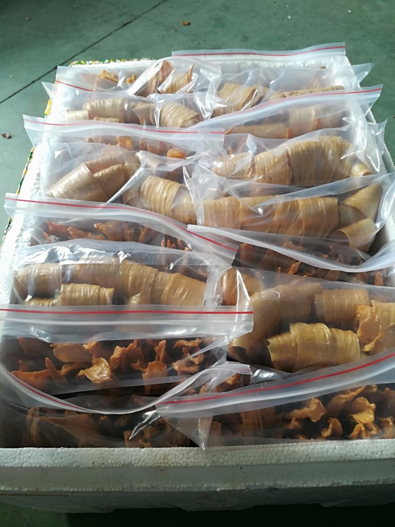 黑腐竹