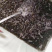 饶平正宗咸水虾干