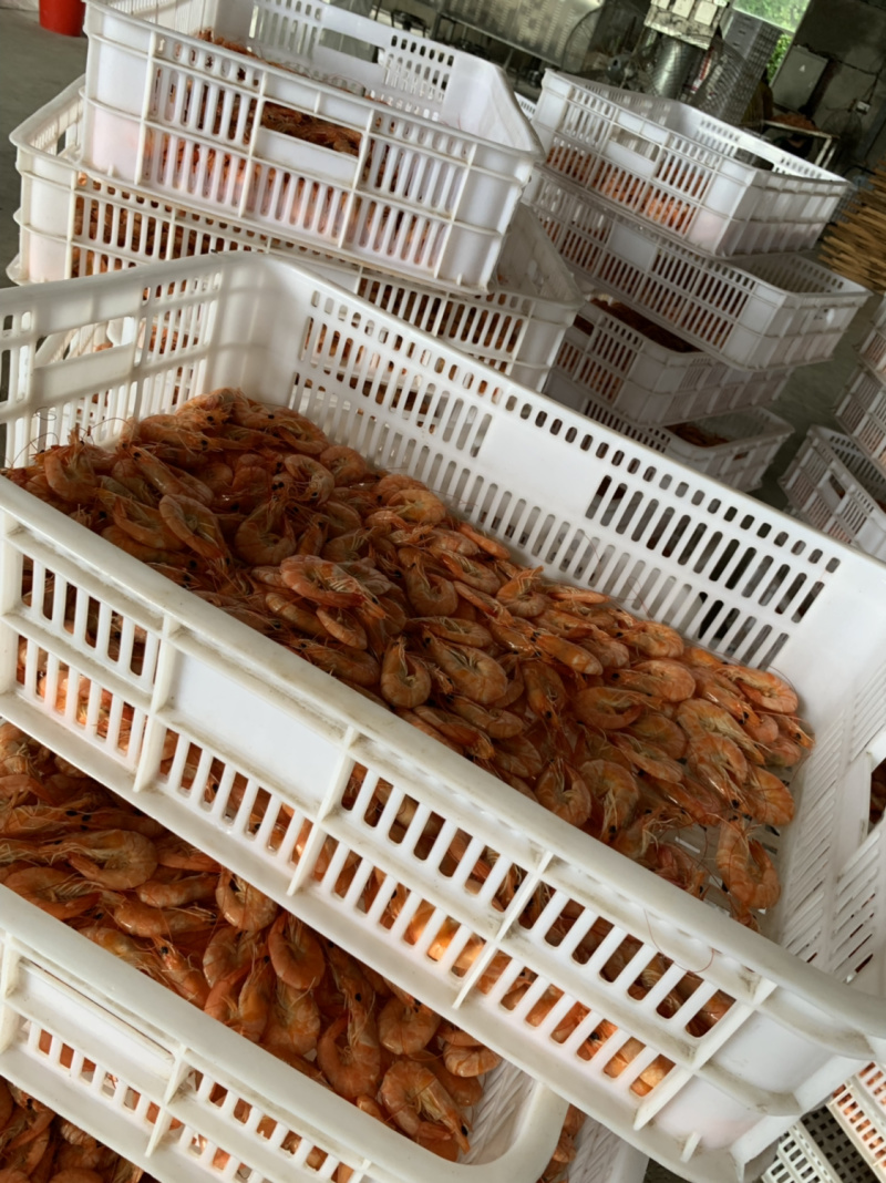 饶平正宗咸水虾干