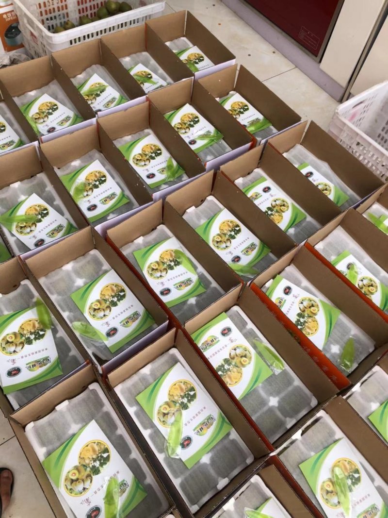 蒲江红心猕猴桃一件代发