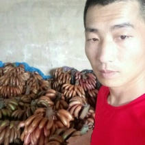 红香蕉1.8，精品好货，支持代发快递，接团购