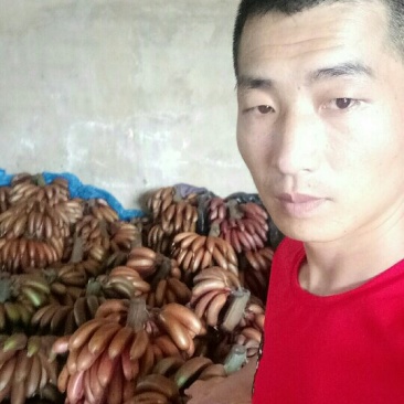 红香蕉1.8，精品好货，支持代发快递，接团购