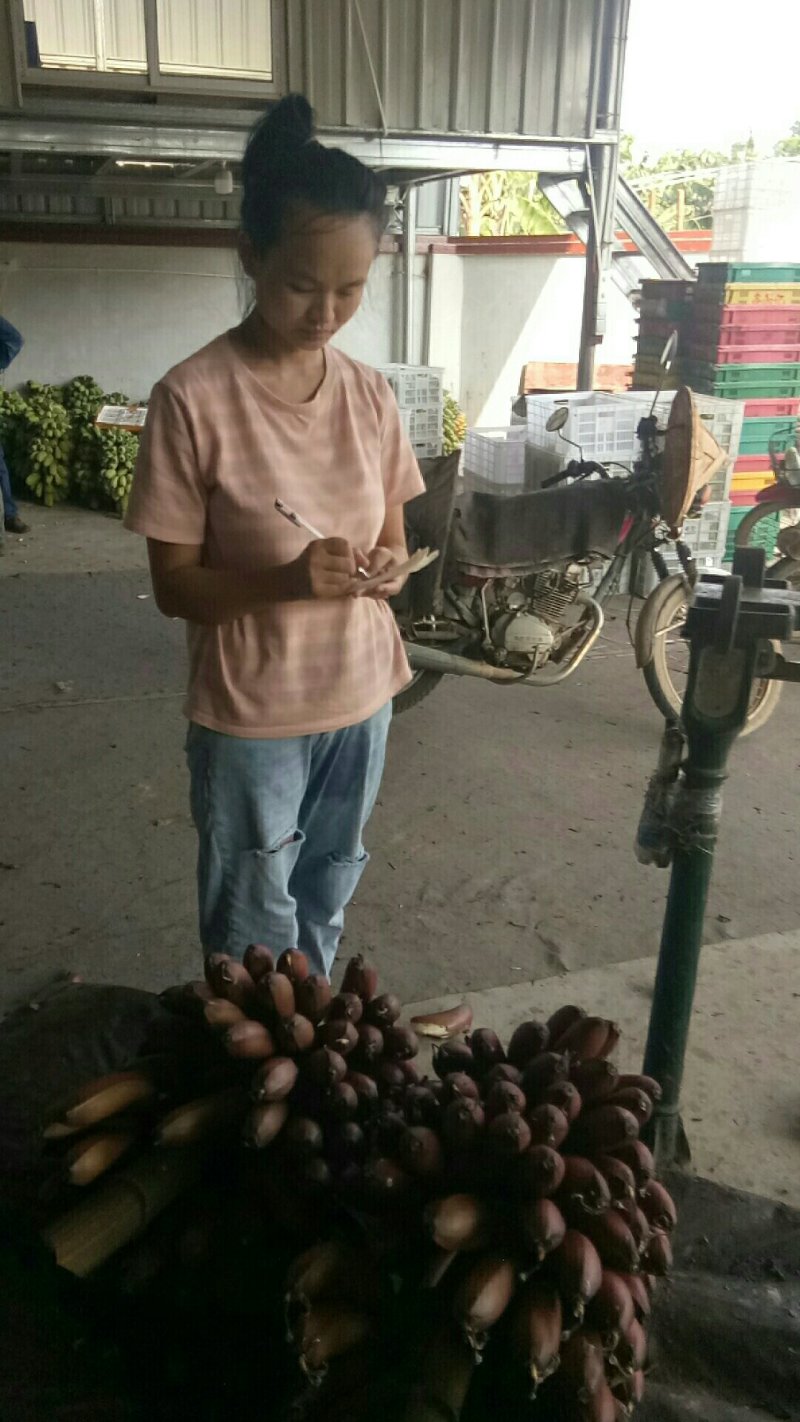 红香蕉1.8，精品好货，支持代发快递，接团购