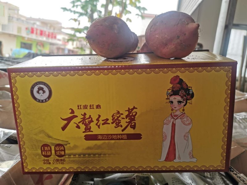 六鳌地瓜，六鳌蜜薯，大量上市中希望与您真诚的合作