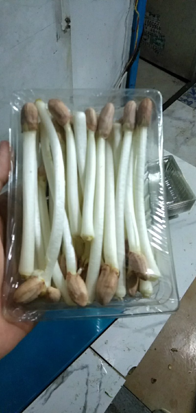 AAAA广东中山市惠众食品加工基地产地直供花生芽散装