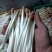 AAA广东中山市惠众食品加工基地直供！各种包装