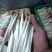 AAA广东中山市惠众食品加工基地直供！各种包装