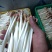 AAA广东中山市惠众食品加工基地直供！各种包装