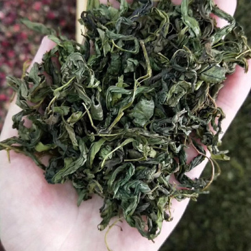 长白山暴马丁香叶茶，批发花草茶，原料茶，组合茶，代泡茶