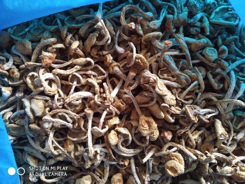 美味的食材到了，老板来看货了