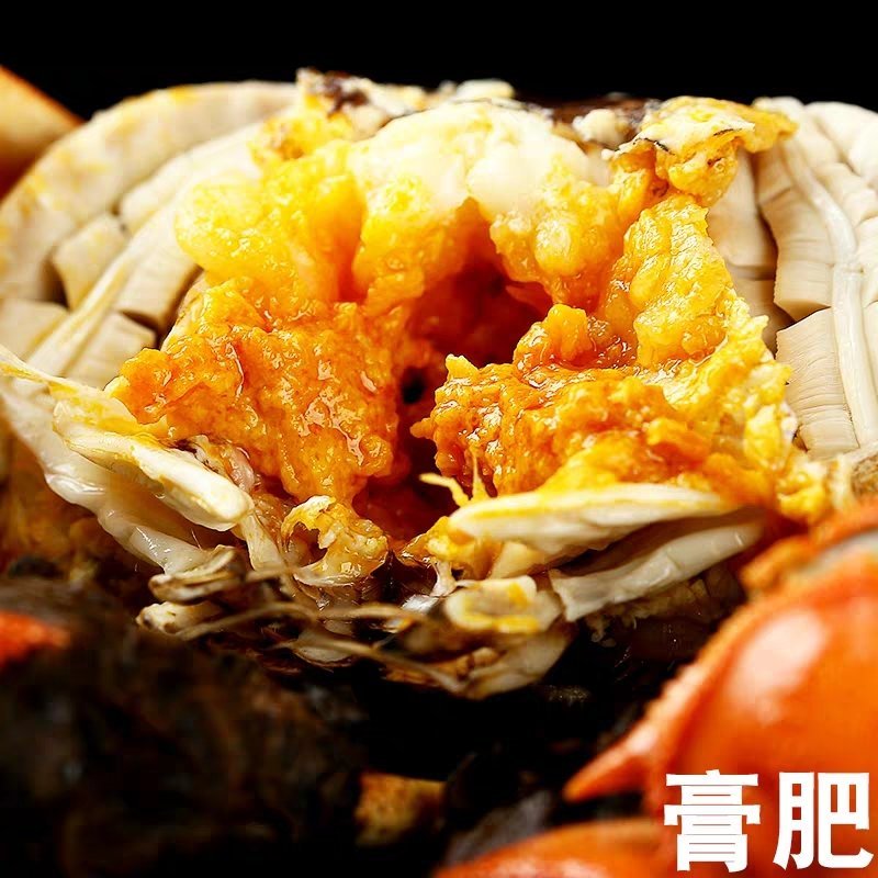 微山湖大闸蟹