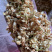 茉莉花茶，香包填充物茉莉花，枕芯坐垫填充物，茉莉花粉