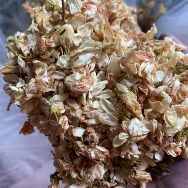 茉莉花茶，香包填充物茉莉花，枕芯坐垫填充物，茉莉花粉