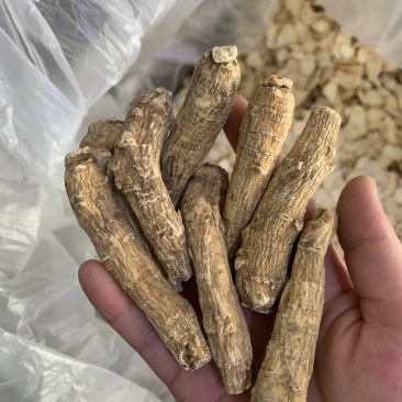 进口西洋参个,西洋参粉,人参粉,批发中药材
