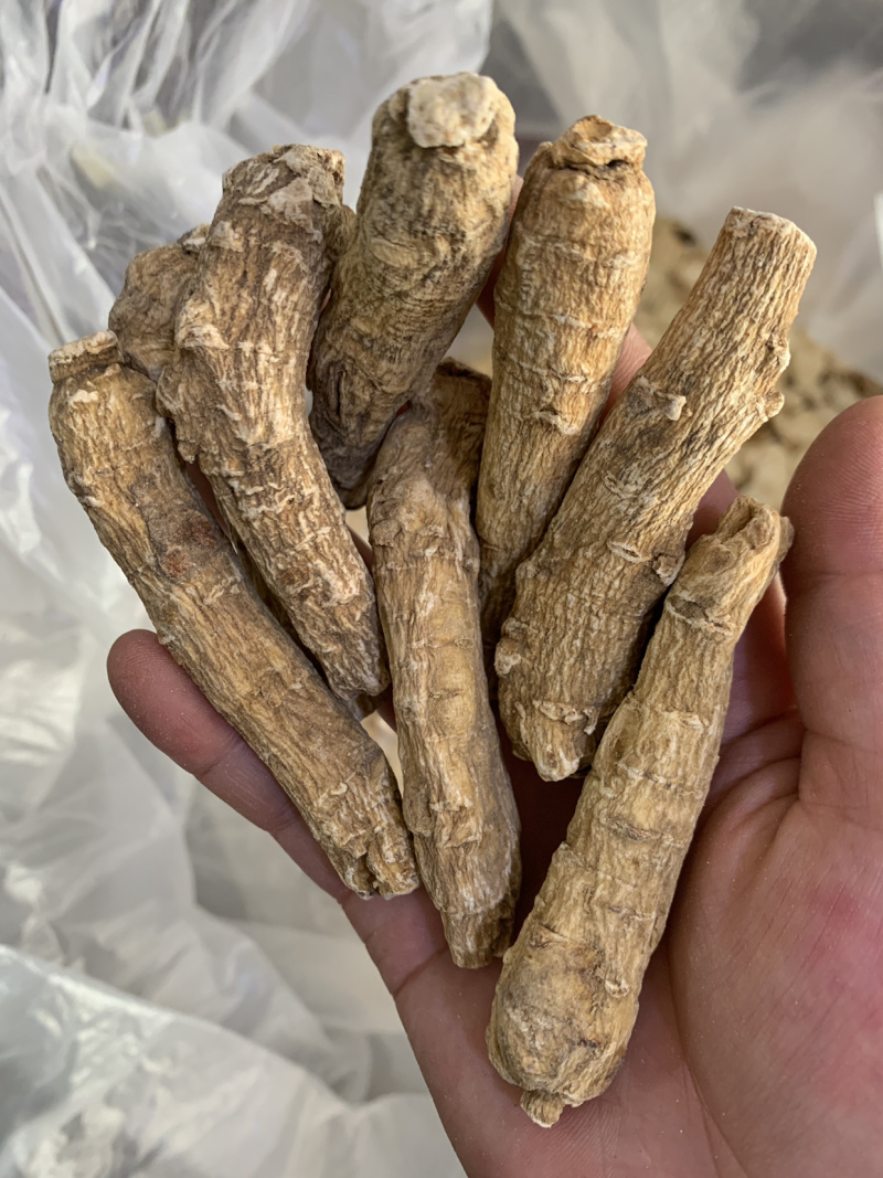 进口西洋参个，西洋参粉，人参粉，批发中药材