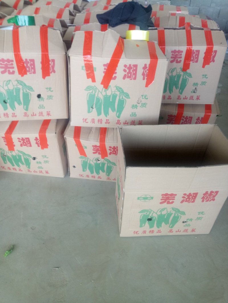 薄皮椒鲜辣椒、芜湖椒，产地供应，质量保证，量大。