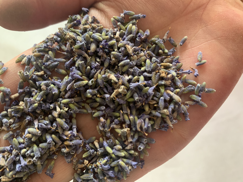 薰衣草茶，薰衣草提取物，薰衣草精油批发薰衣草粉