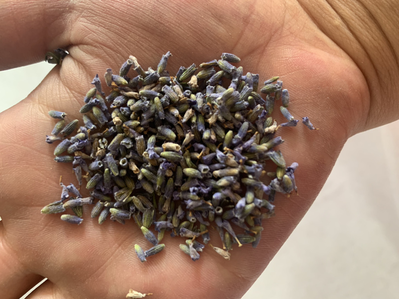 薰衣草茶，薰衣草提取物，薰衣草精油批发薰衣草粉