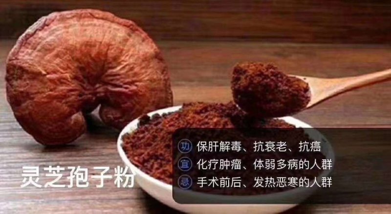 灵芝袍子粉