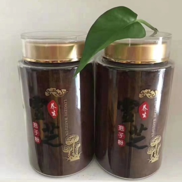 灵芝袍子粉