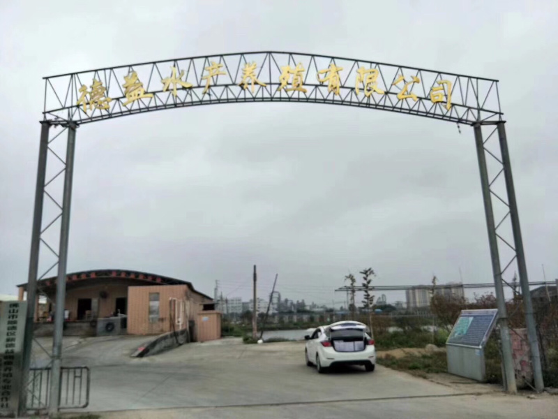 惠州巴沙鱼批发巴沙鱼惠州销售惠州清江白团