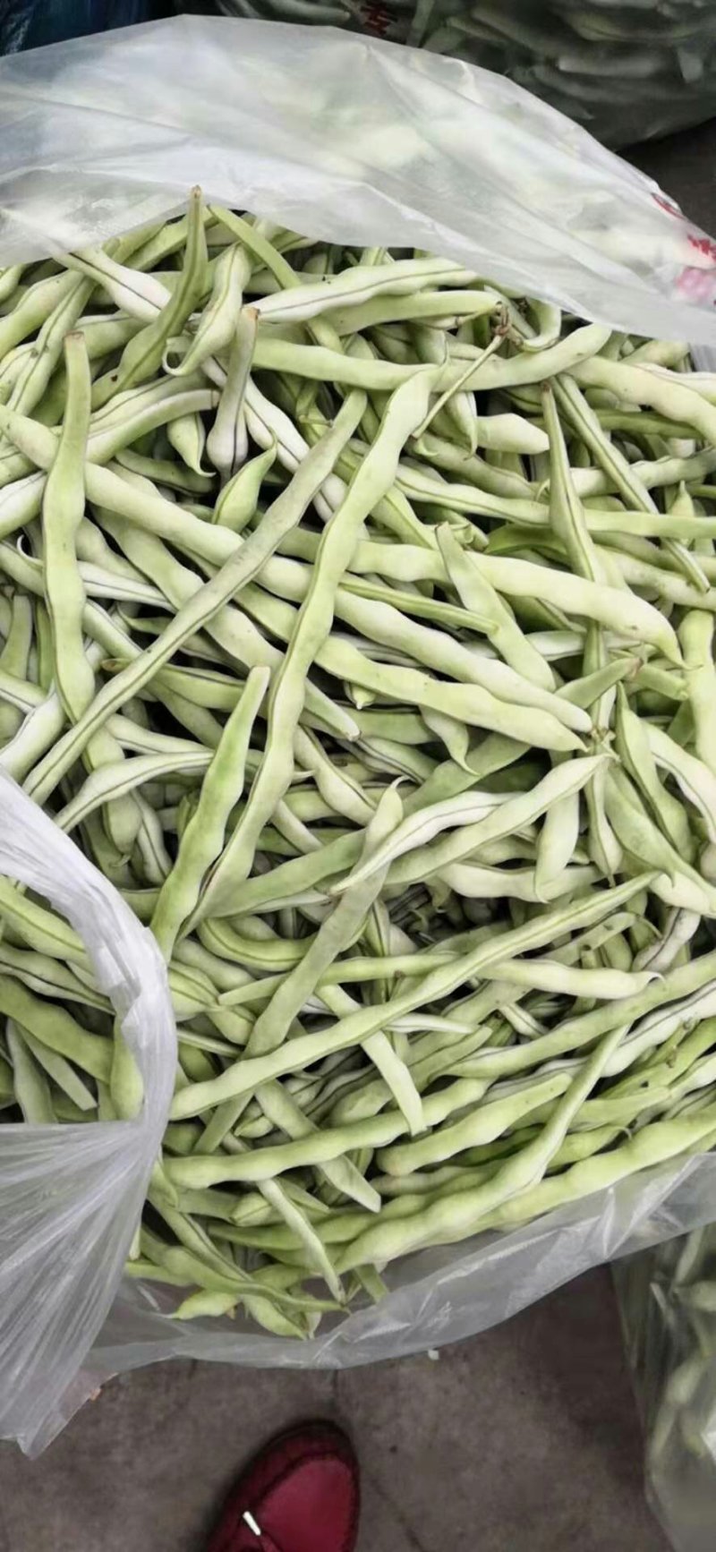 大量销售豆角