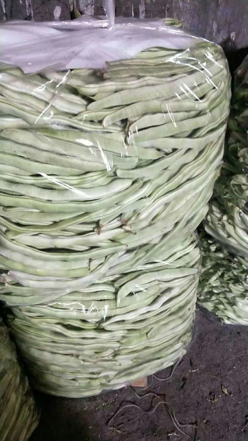 大量销售豆角