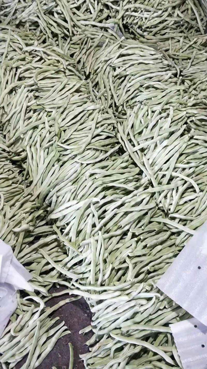 大量销售豆角