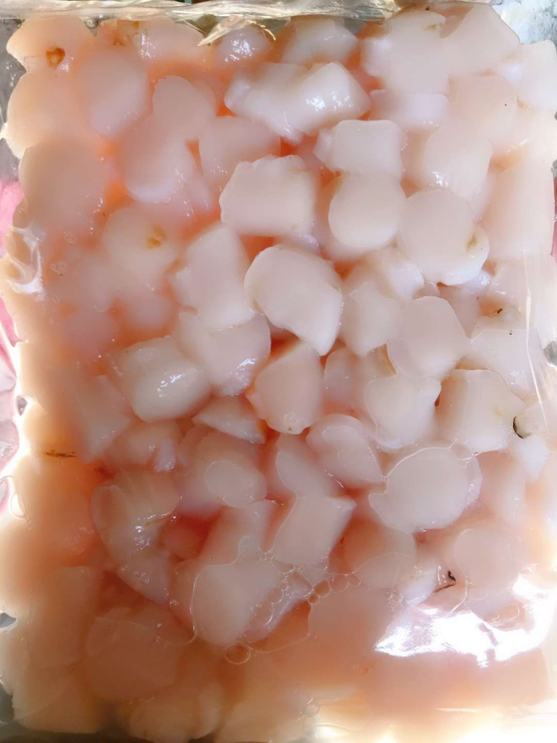 扇贝扇贝柱扇贝丁食用