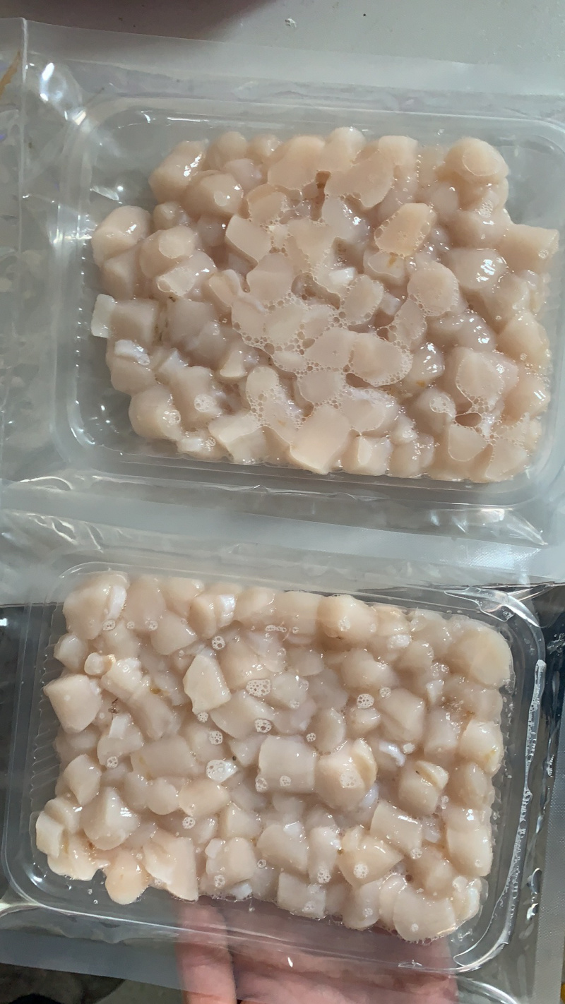 扇贝扇贝柱扇贝丁食用