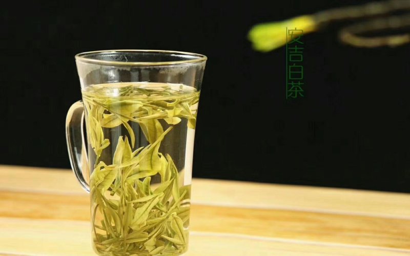 安吉白茶